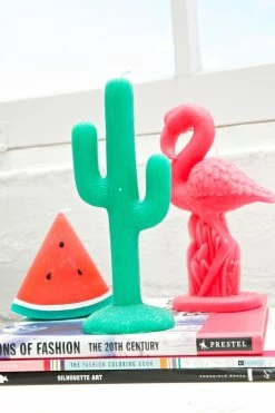 Sunny Life Cactus Coolah Candle Home Stuff