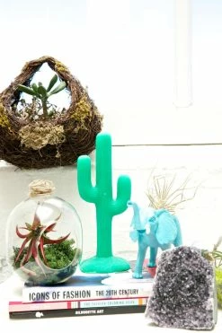 Sunny Life Cactus Coolah Candle Home Stuff